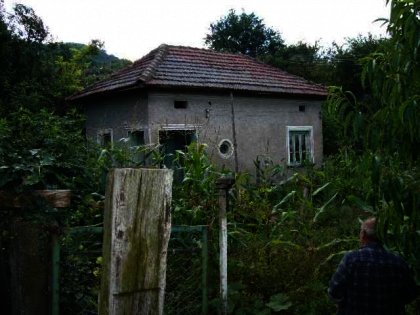 ���� - 3956 euro