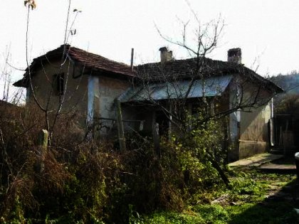 ���� - 3956 euro