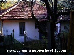 ���� - 10877 euro