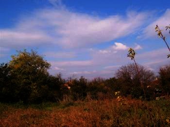 ������ - 4591 euro